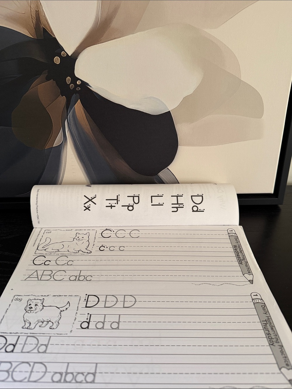 Daily Handwriting Practice, Daily Science, and Math Word Problem Mini-Books - Picture 15 of 16